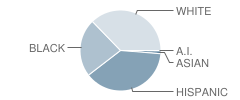 Goose Creek Memorial School Student Race Distribution