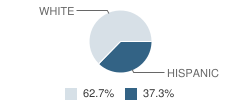 Gorman Middle School Student Race Distribution