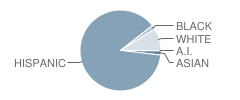 Lee H Means Elementary School Student Race Distribution