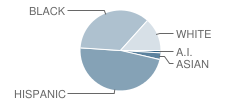 James L Masters School Student Race Distribution