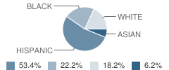 Cora Thomas Elementary School Student Race Distribution