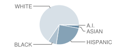 Rouse High School Student Race Distribution