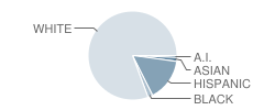 Bill Burden Elementary School Student Race Distribution