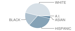 Annette Perry Elementary School Student Race Distribution