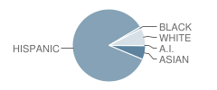 Dr Pablo Perez School Student Race Distribution