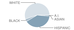 New Caney Sixth Grade Campus School Student Race Distribution