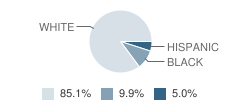 New Diana Intermediate School Student Race Distribution