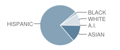 South Texas Preparatory Academy Student Race Distribution