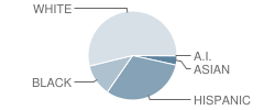 John A Sippel Elementary School Student Race Distribution