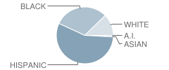 Michael R Null Middle School Student Race Distribution