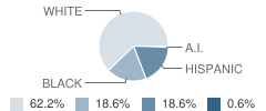 Trinity Intermediate School Student Race Distribution