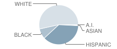 Schultz Junior High School Student Race Distribution