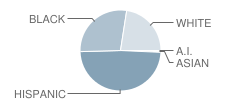 Wharton Elementary School Student Race Distribution