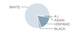 Aspermont High School Student Race Distribution