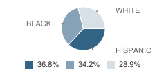 Ron Jackson State Juvenile Corrections County School Student Race Distribution