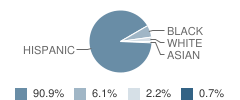 Thompson Elementary School Student Race Distribution