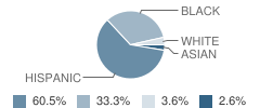 Dunn Elementary School Student Race Distribution