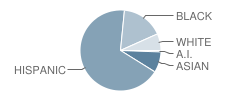 Rees Elementary School Student Race Distribution