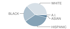 Alton Boyd Elementary School Student Race Distribution