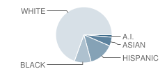 Gene M Reed Elementary School Student Race Distribution