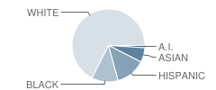 Max O Vaughan Elementary School Student Race Distribution