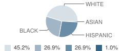 Alto Elementary School Student Race Distribution