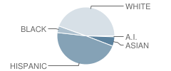 Alvin Primary School Student Race Distribution