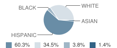 Mark Twain Primary School Student Race Distribution