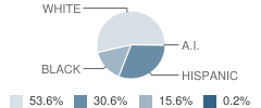 Northside Elementary School Student Race Distribution