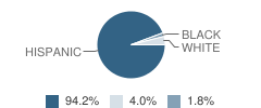 Anthony High School Student Race Distribution