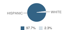 Anthony Middle School Student Race Distribution