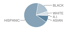 Goodman Elementary School Student Race Distribution