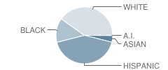 Shackelford Junior High School Student Race Distribution