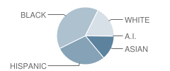 Bowie High School Student Race Distribution