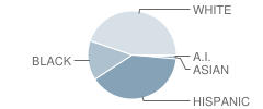 South Athens Elementary School Student Race Distribution