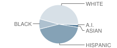 Austin High School Student Race Distribution