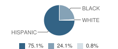 Blackshear Elementary School Student Race Distribution