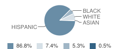 Ridgetop Elementary School Student Race Distribution