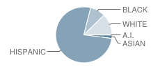 Williams Elementary School Student Race Distribution