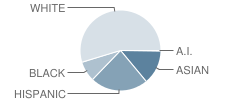 Patton Elementary School Student Race Distribution