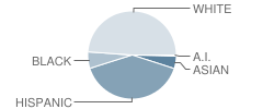 Cowan Elementary School Student Race Distribution
