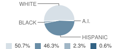 Ballinger Elementary School Student Race Distribution