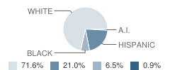 J B Stephens Elementary School Student Race Distribution