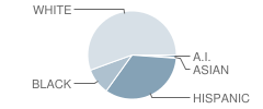 Bastrop Intermediate School Student Race Distribution