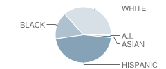 Bay City High School Student Race Distribution