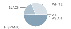 Bay City Junior High School Student Race Distribution