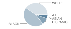 Guess Elementary School Student Race Distribution