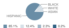 Madderra-Flournoy Elementary School Student Race Distribution