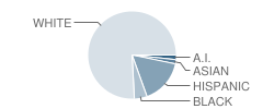 Sparta Elementary School Student Race Distribution