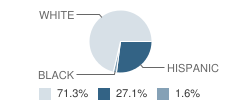 Blanco High School Student Race Distribution